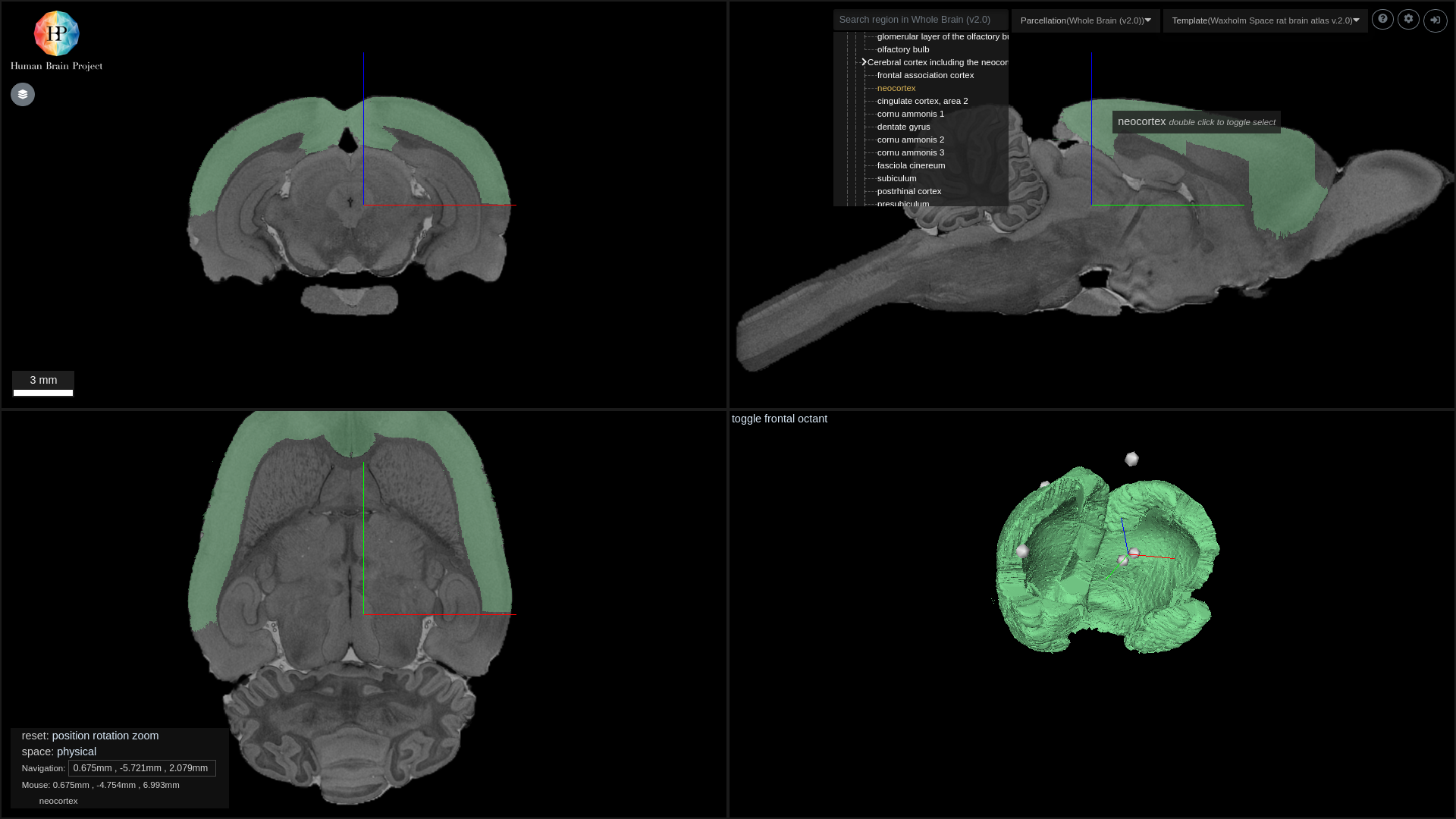 Preview of Waxholm Rat V2.0